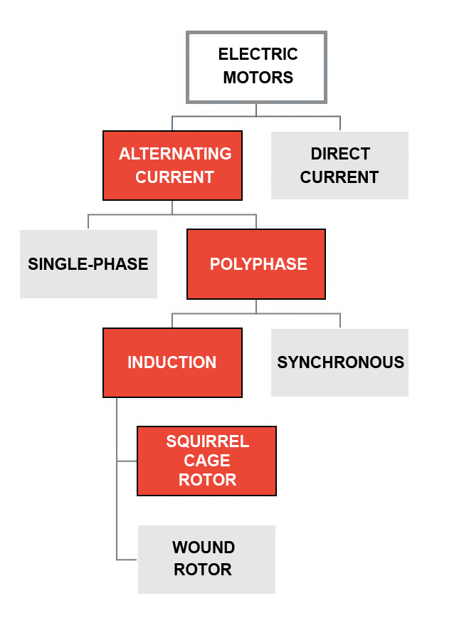 Figure 1: General classification of electric motors.