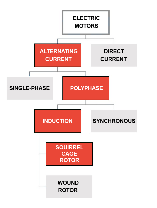 types of electrical motor