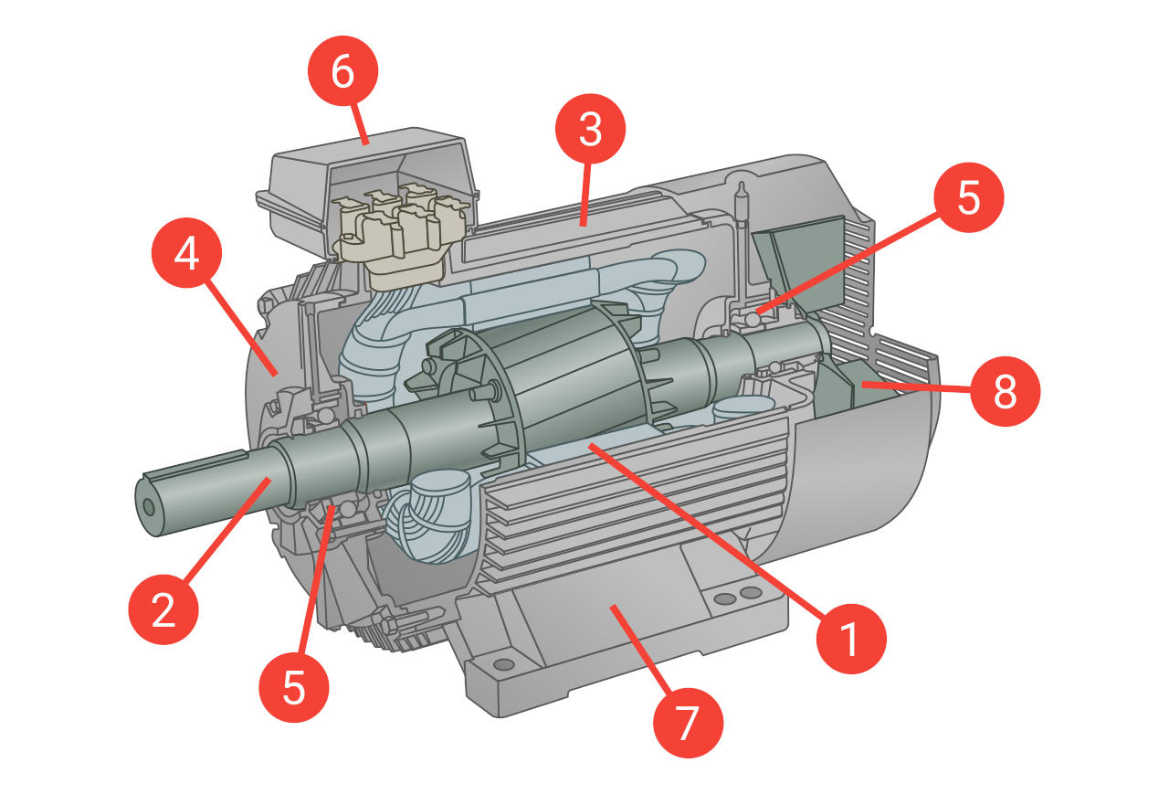 Figure 2: Main components of an electric induction motor with squirrel cage rotor.