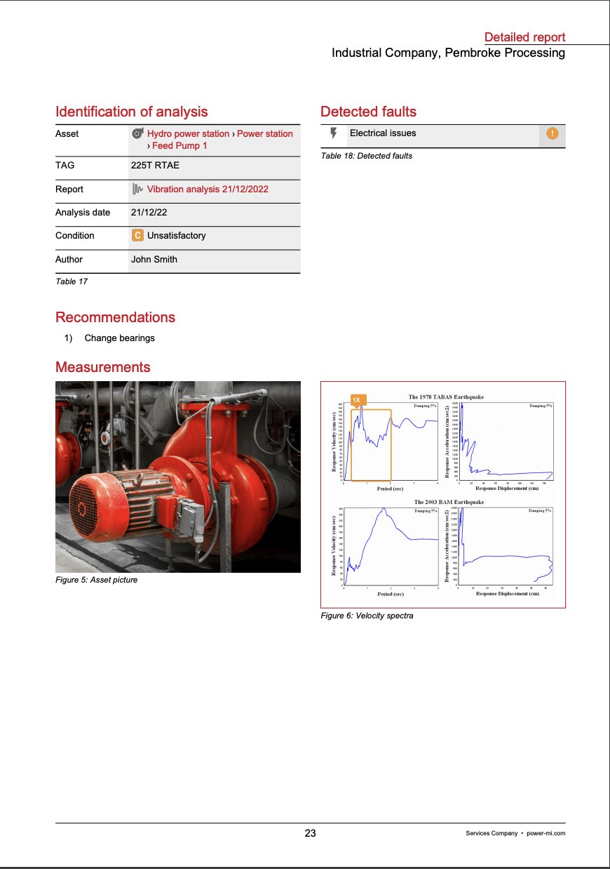 Figure 6: Detailed report PDF printing.