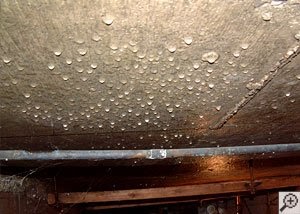Figura 12: Humedad en techo y tubería en sótano. Fuente: Basement Systems.